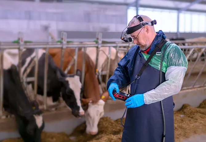 iScan Mini occhiali utilizzo veterinario