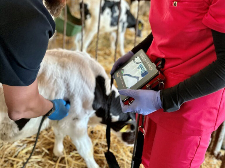 lung examination, ultrasound scanner, draminski