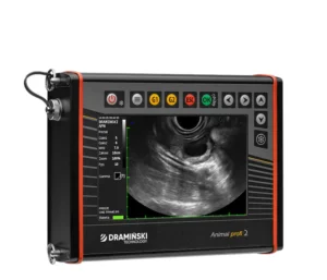 Portable ultrasound scanner with mechanical probes for diagnosis cows, sows, goats and sheep