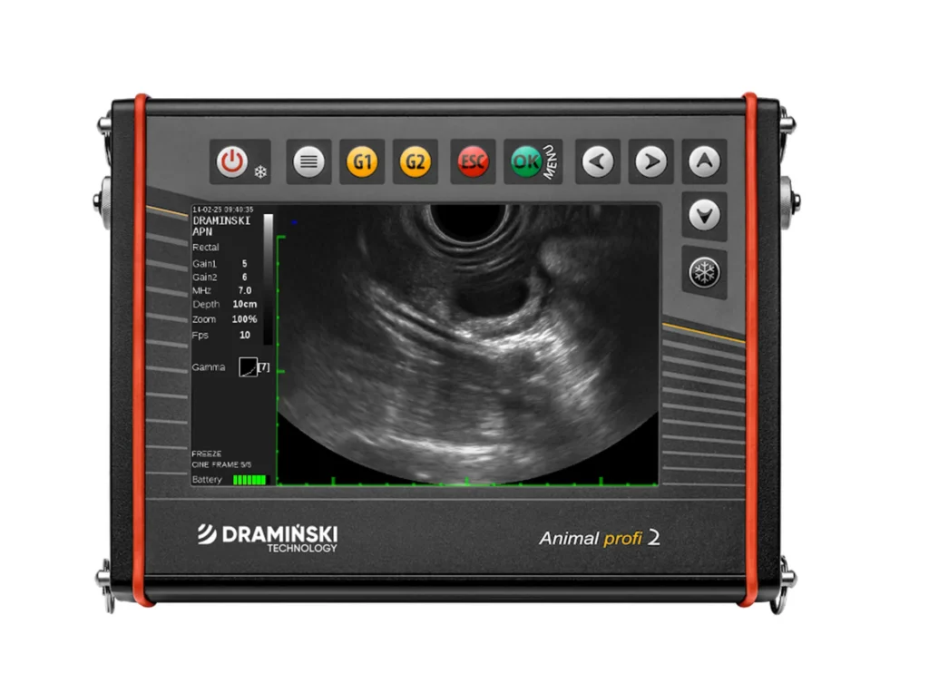 ultrasonograf weterynaryjny zaawansowana technologia