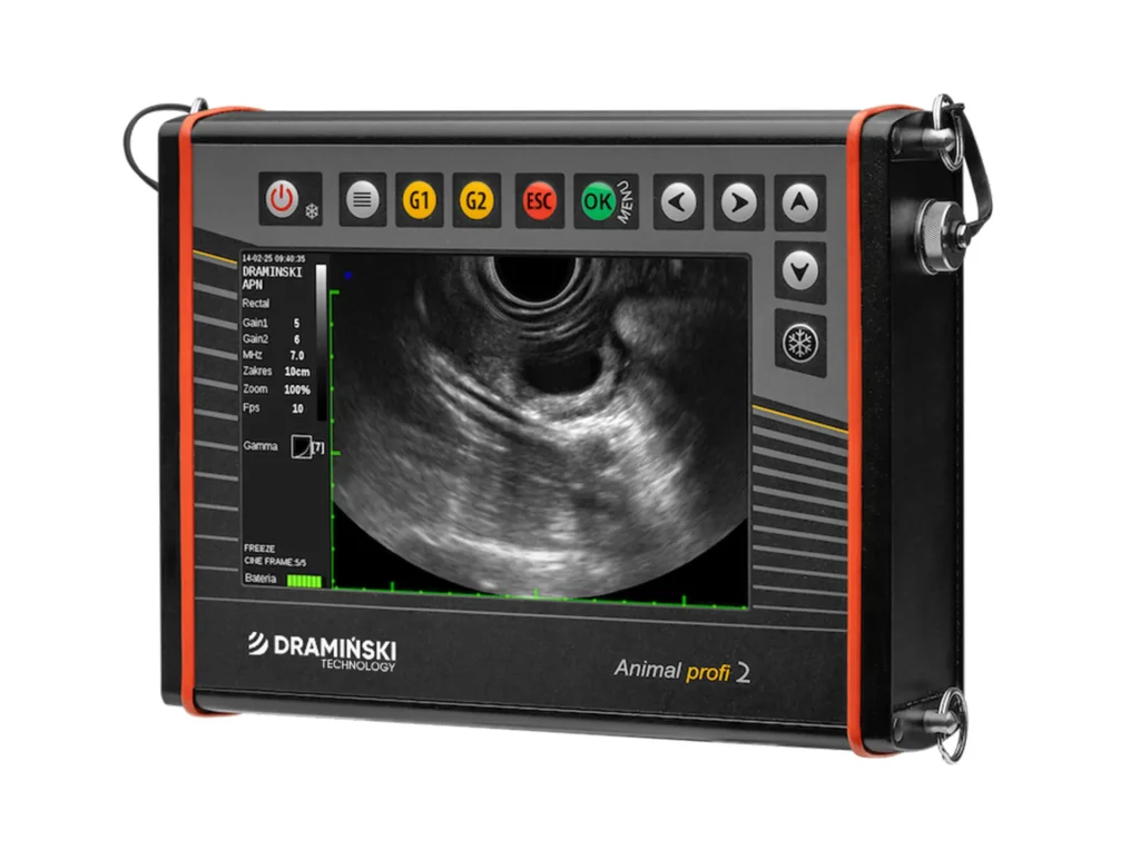 Ultrasonograf weterynaryjny do szybkiej i trafnej diagnozy ciąży