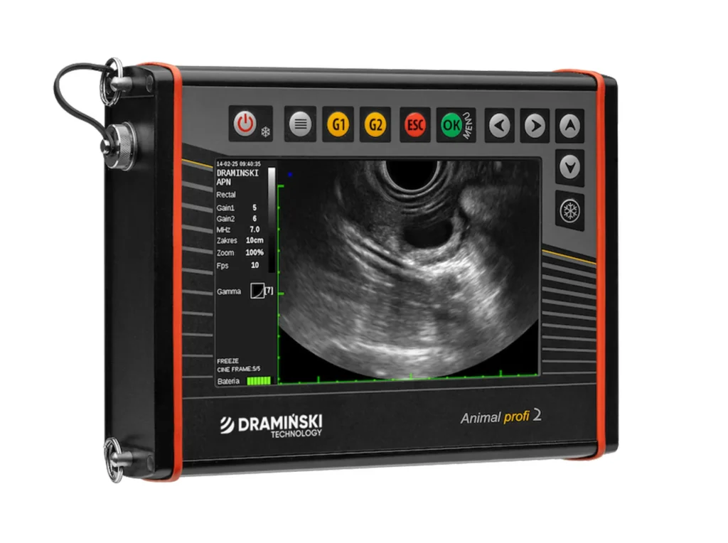 przenośne usg doskonałe do pracy w terenie, długi czas pracy na baterii