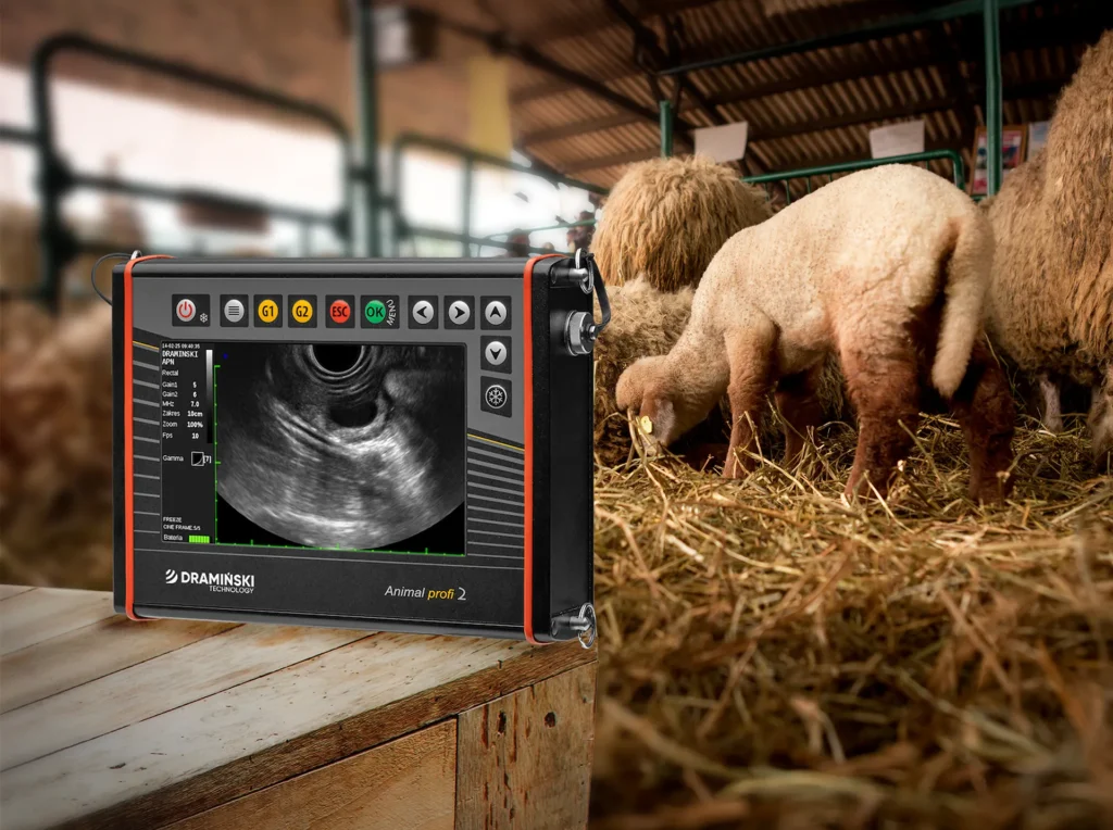 AnimalProfi2 Dramiński ultrasound for sheep, pigs and cattle